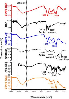 Comparative Study of the Antimicrobial Activity of Selenium Nanoparticles With Different Surface Chemistry and Structure